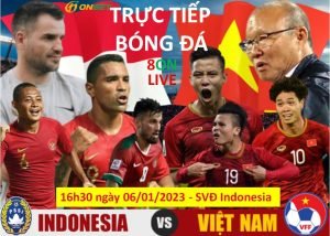 Trực tiếp bóng đá Việt Nam Indonesia