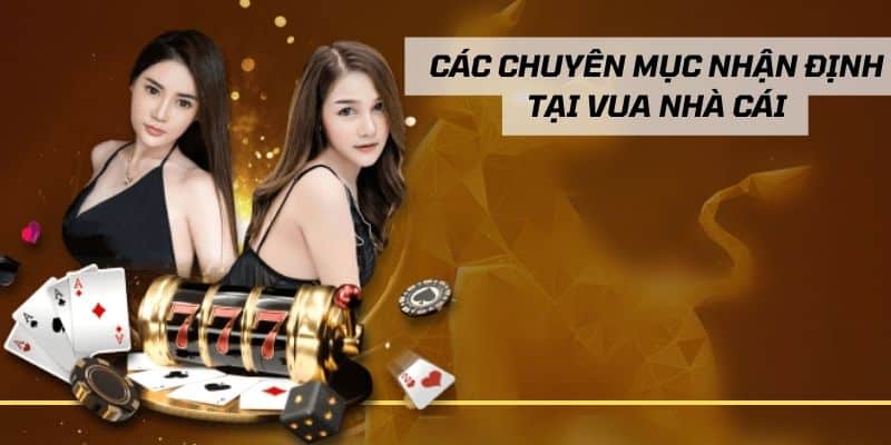 Tổng hợp chuyên mục nhận định tại Vua Nhà Cái