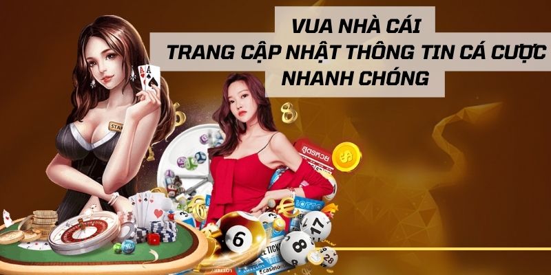 Những lý do bạn nên lựa chọn Vua Nhà Cái