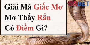 Giải mã giấc mơ bị rắn cắn nên đánh con thắng lớn