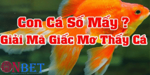 Giải mã giấc mơ thấy cá đánh con gì để về bờ?