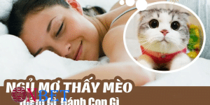 Giải mã giấc mơ thấy mèo - Nên đánh con số nào khi mơ gặp mèo?